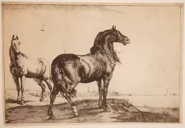 Hinnikend paard naar Paulus Potter