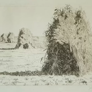 Korenschoven