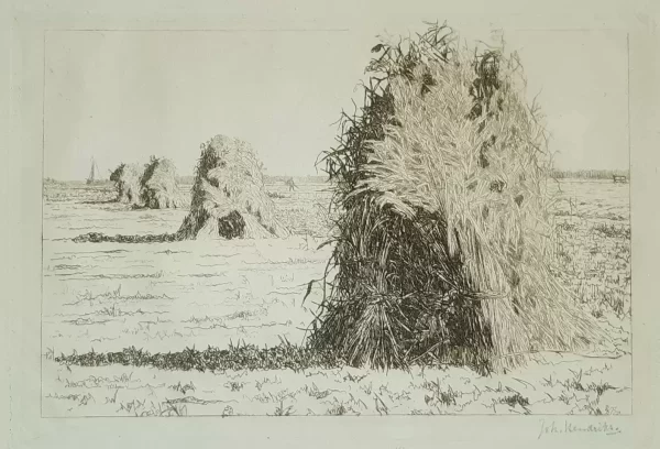 Korenschoven