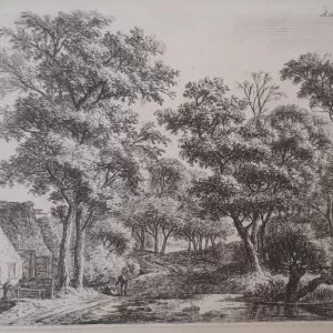 Gebouwen langs een bospad
