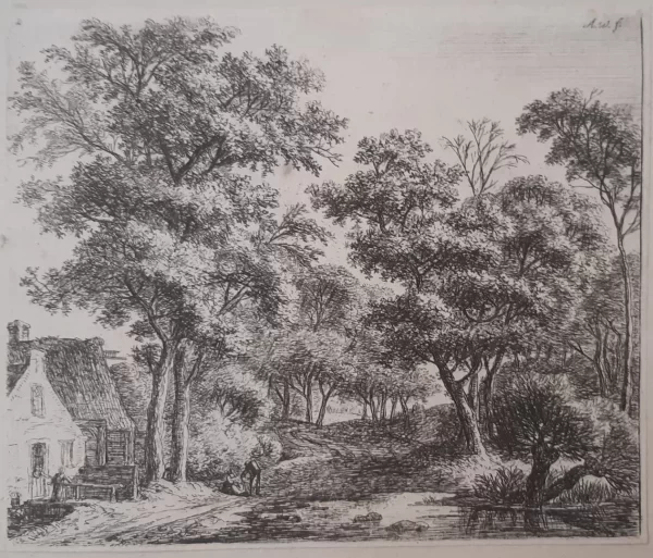 Gebouwen langs een bospad