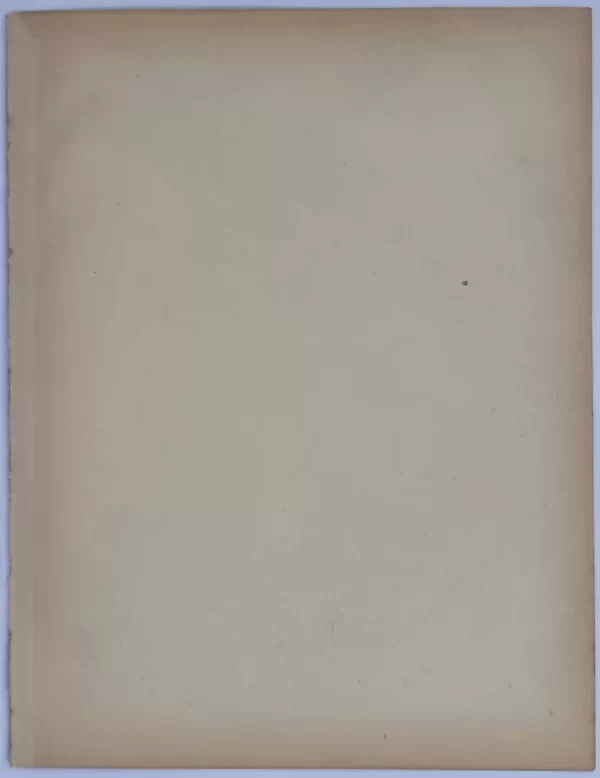 Portrait de Homme - Image 4