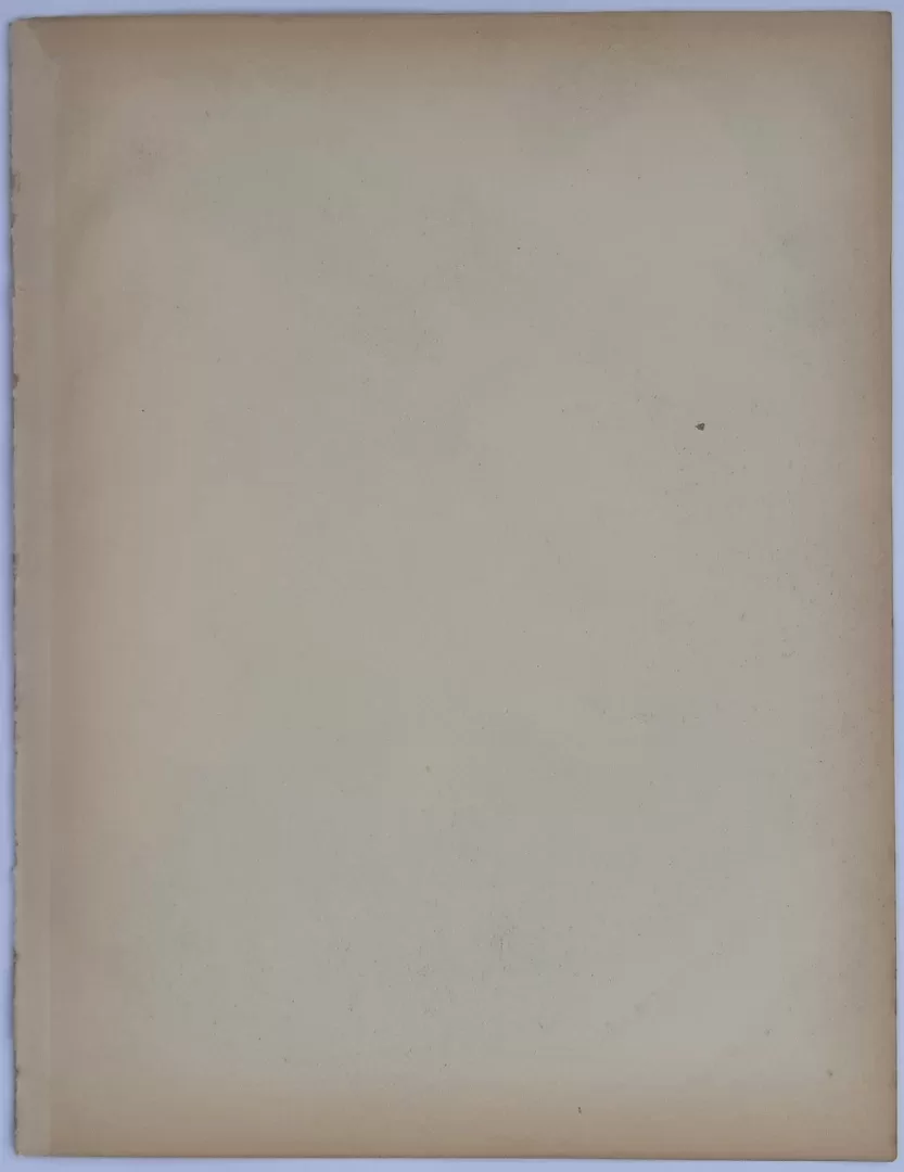 Portrait de Homme - Image 4